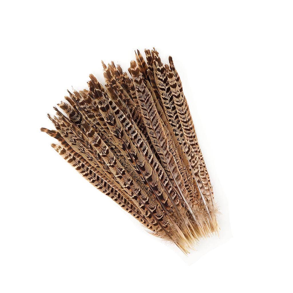 Zucker Feather Products - Wholesale Craft Supplies - 10 PC/PKG Female Ringneck Pheasant Tails 10-12" - Natural1