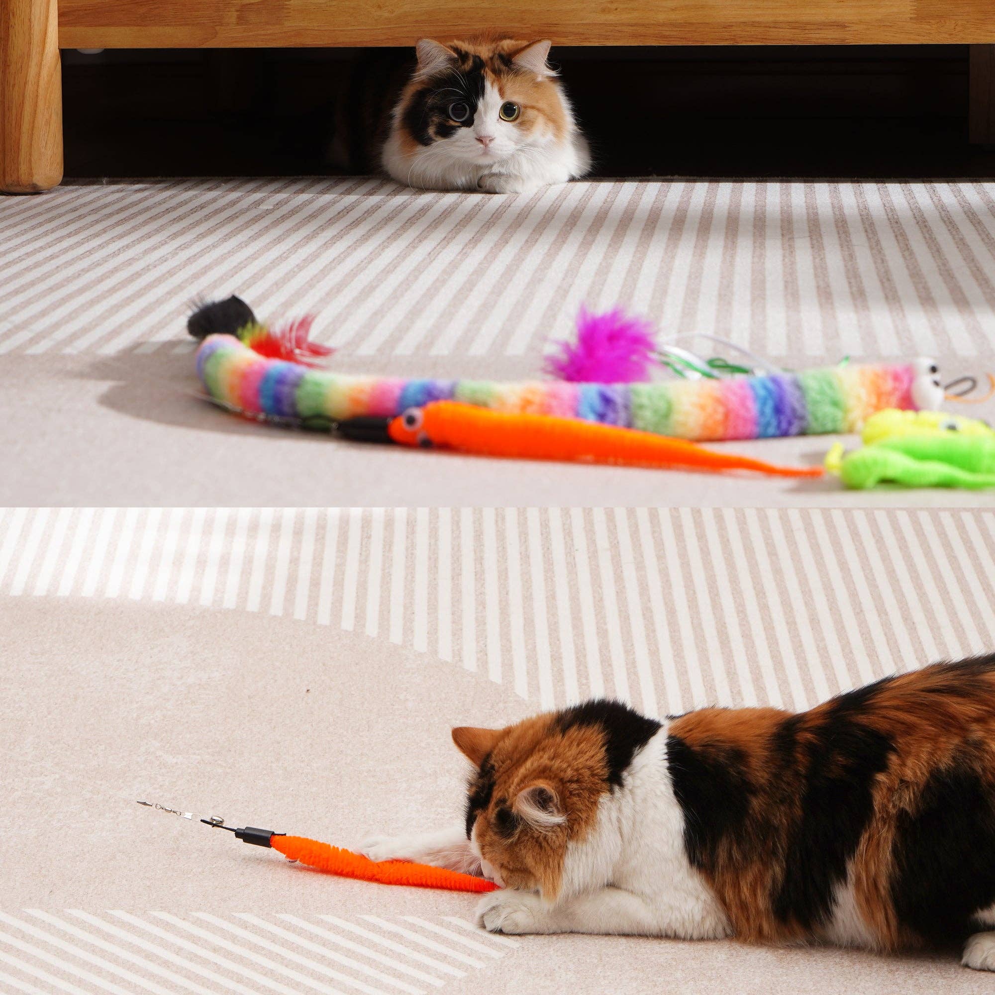 Nocciola - Vente Set de jouets – chat - Ensemble de jeu Pawsible pour chat5