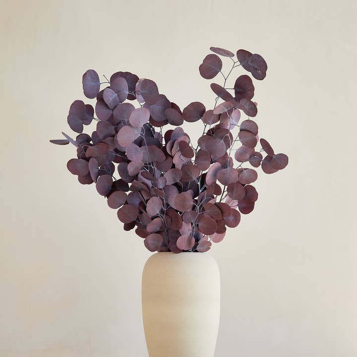 For Love Of Pampas - Wholesale Dried/Pressed Flowers - Preserved "Silver Dollar" Eucalyptus in Red
