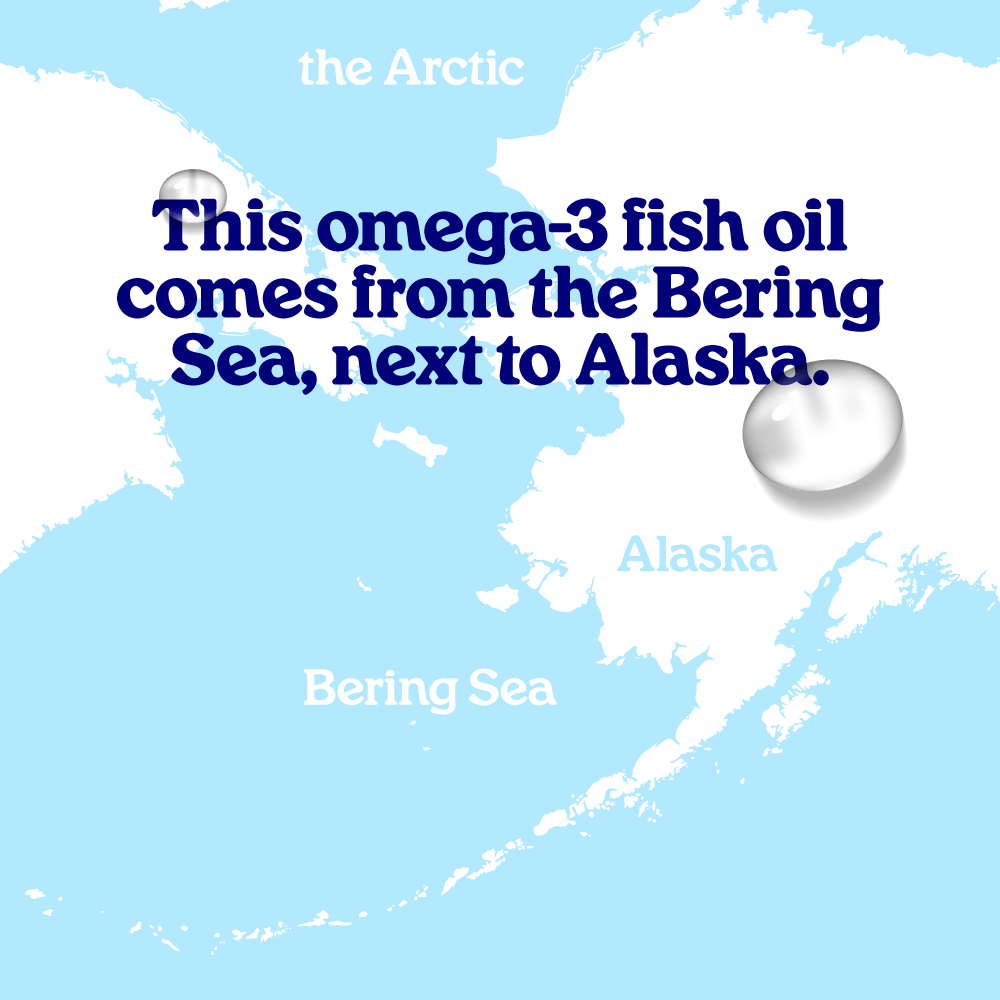 Arctic Blue - Venta al por mayor Suplementos/vitaminas para beber - Aceite de pescado con DHA y EPA - MSC (60 cápsulas grandes)8