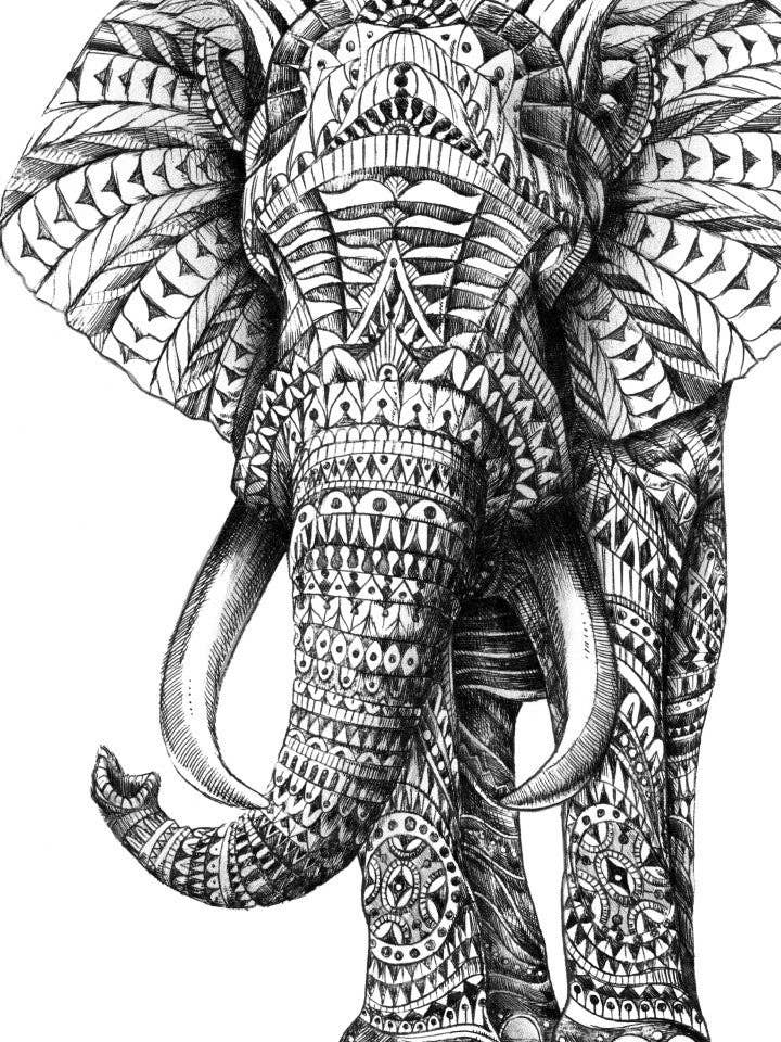 Poster decorato con elefante di Bioworkz per la vendita all'ingrosso da parte di K.Olin Tribu