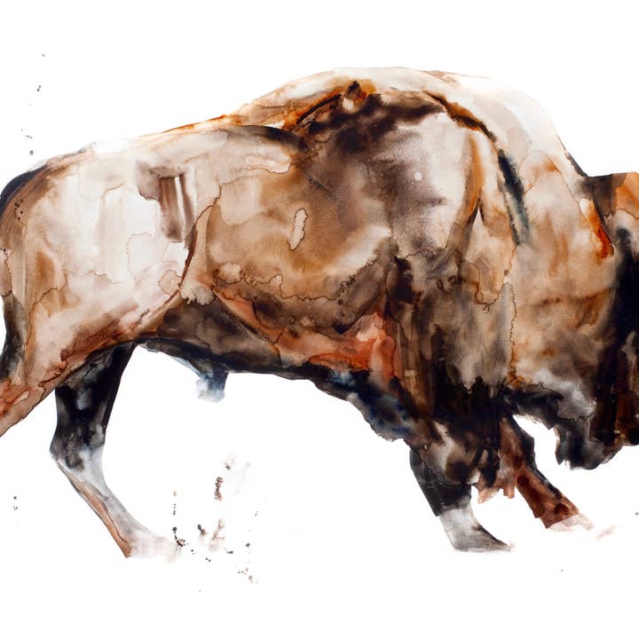 Bison dyreliv akvarel - løbende buffalo lærred print for engroshandel hos Meredith Oneal Art