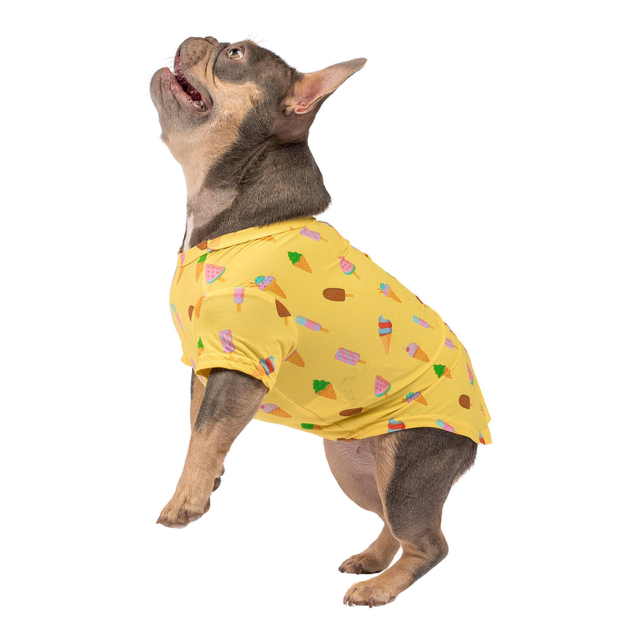 Vibrant Hound - Wholesale Pet Shirt - Dog - Ice-cream dream cooling shirt5