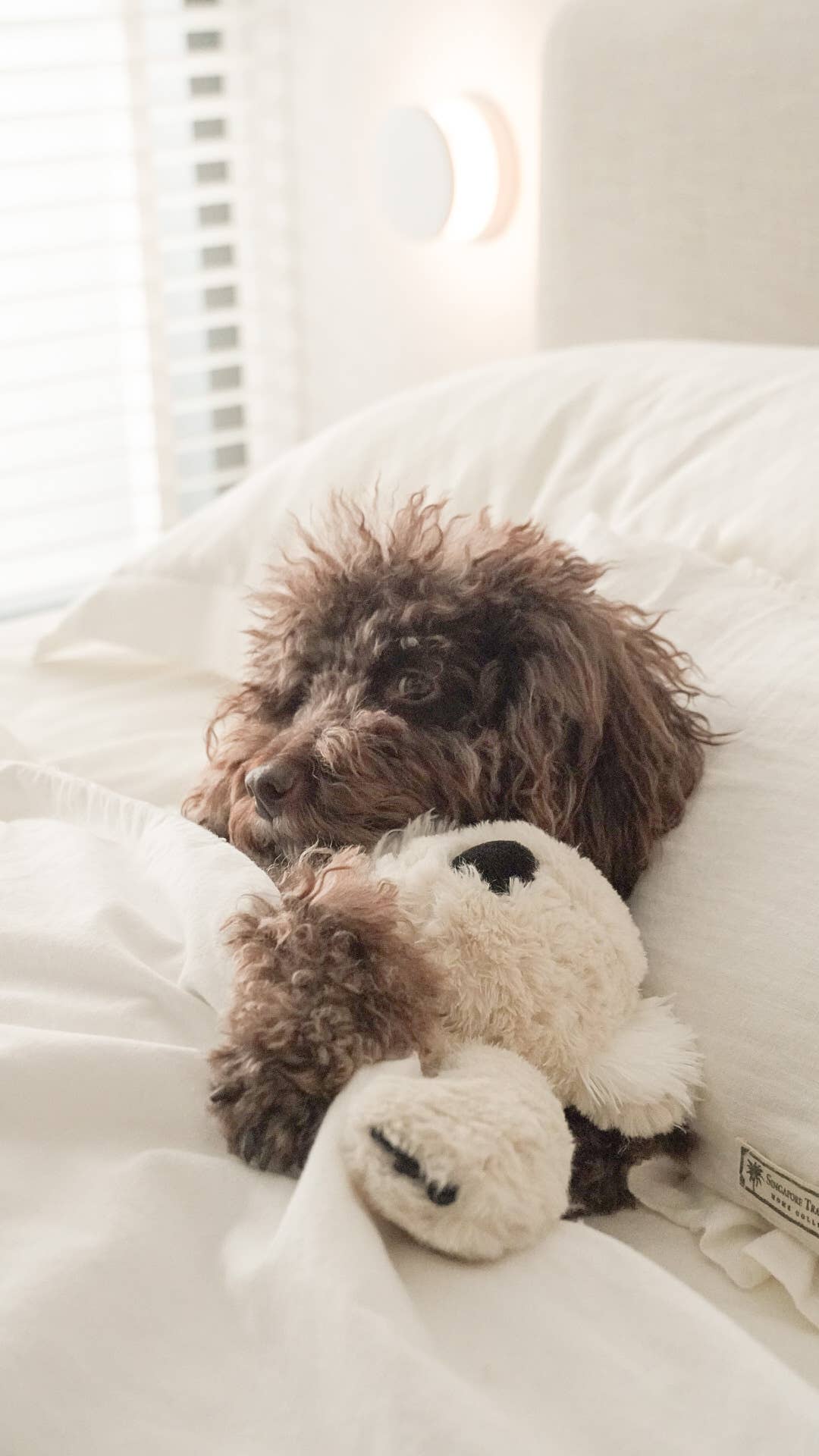 Fur Elise Pets - Wholesale Pet Plush Toy - Dog - Koko Maxi Plushie7