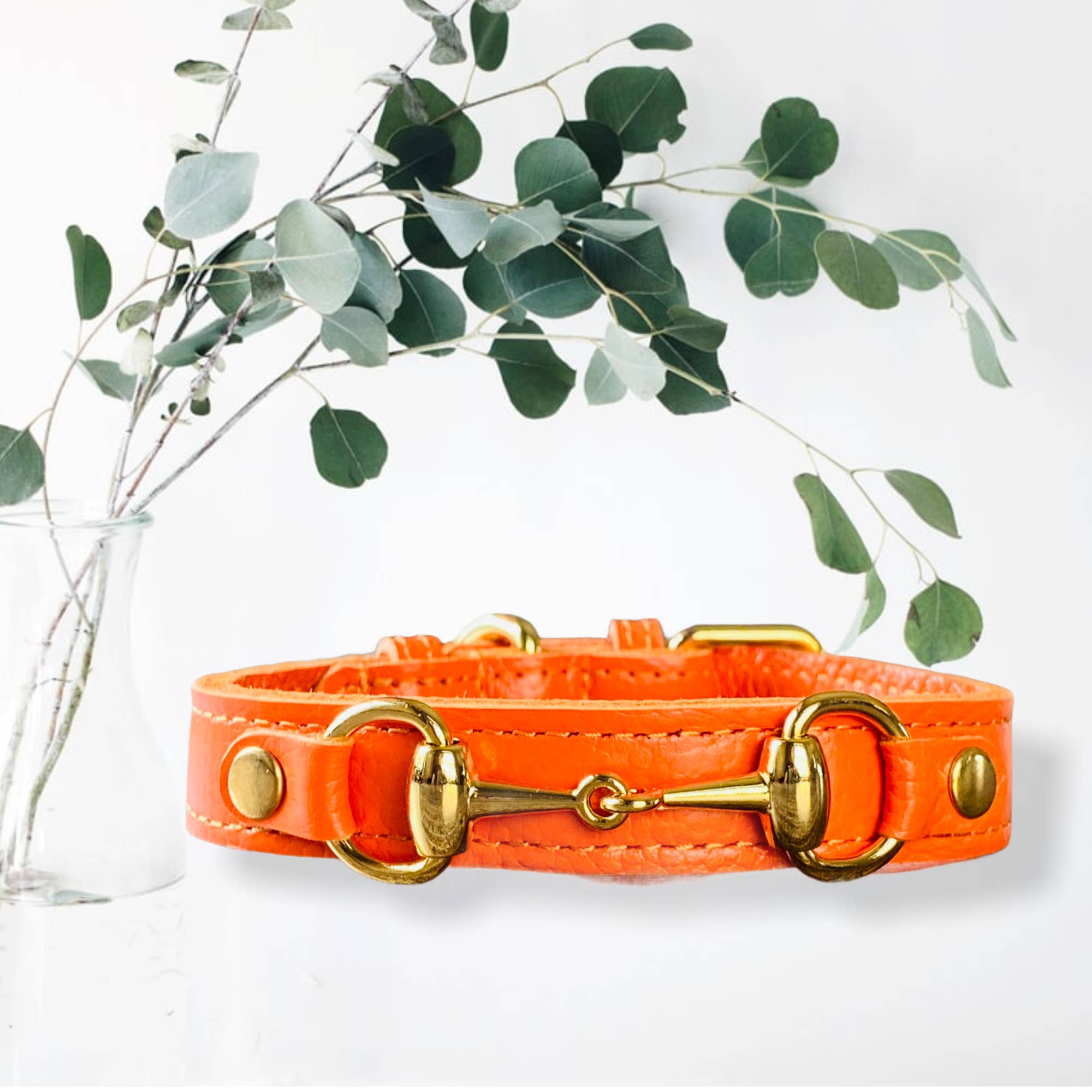 PupWiser - Wholesale Pet Collar - Dog - PRINCESS GRACE Handmade Leather Dog Collar (Orange)6