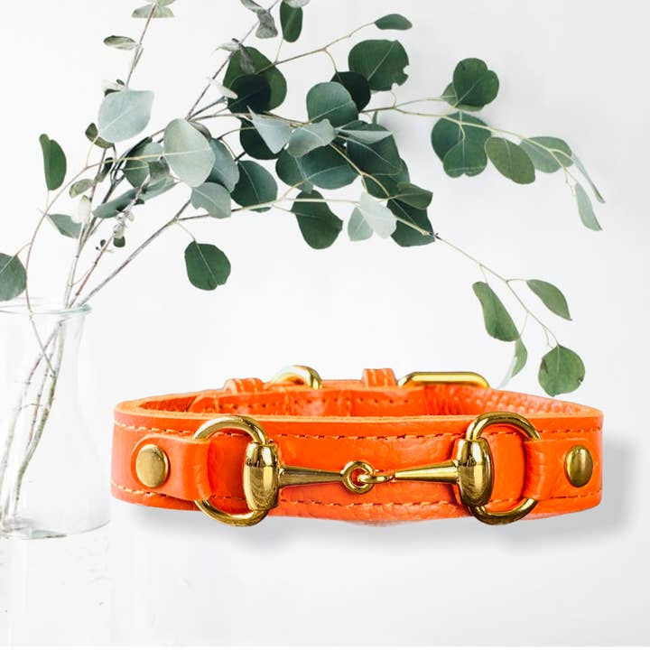 PupWiser - Wholesale Pet Collar - Dog - PRINCESS GRACE Handmade Leather Dog Collar (Orange)6