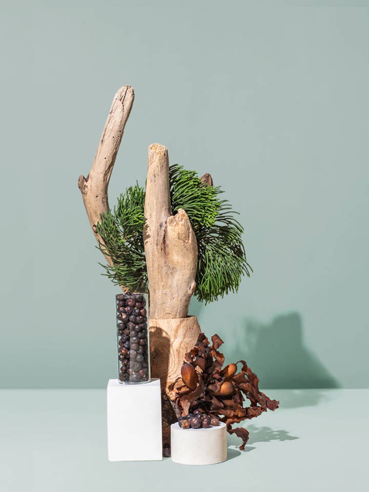 driftwood & juniper™ fragrance oil for wholesale by makesy