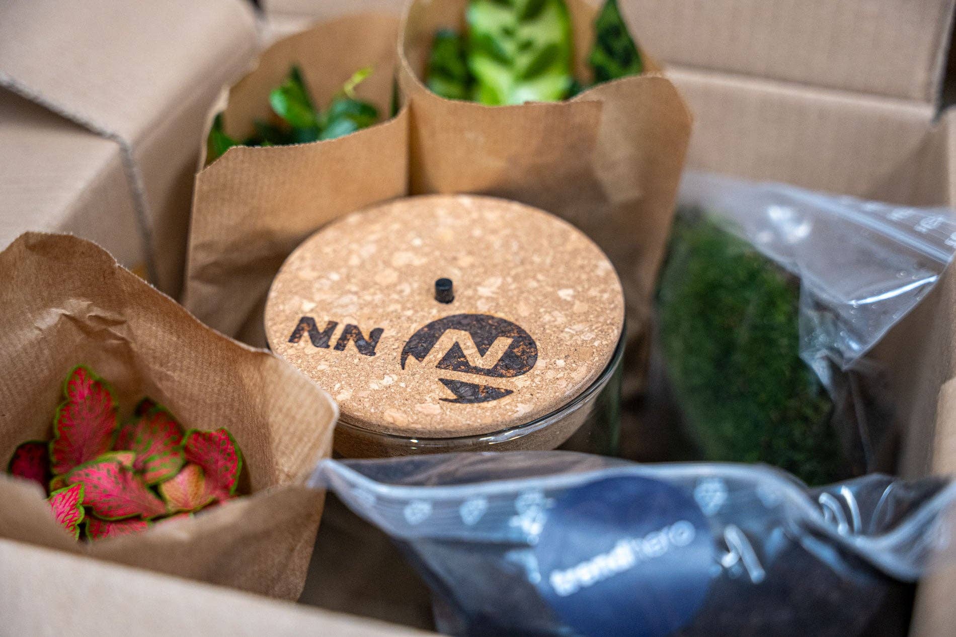 Trendhero.nl/b2b – Engroshandel Terrarium – Terrarium Emma - Ø 23 cm ↑ 25 cm - Firmagave2