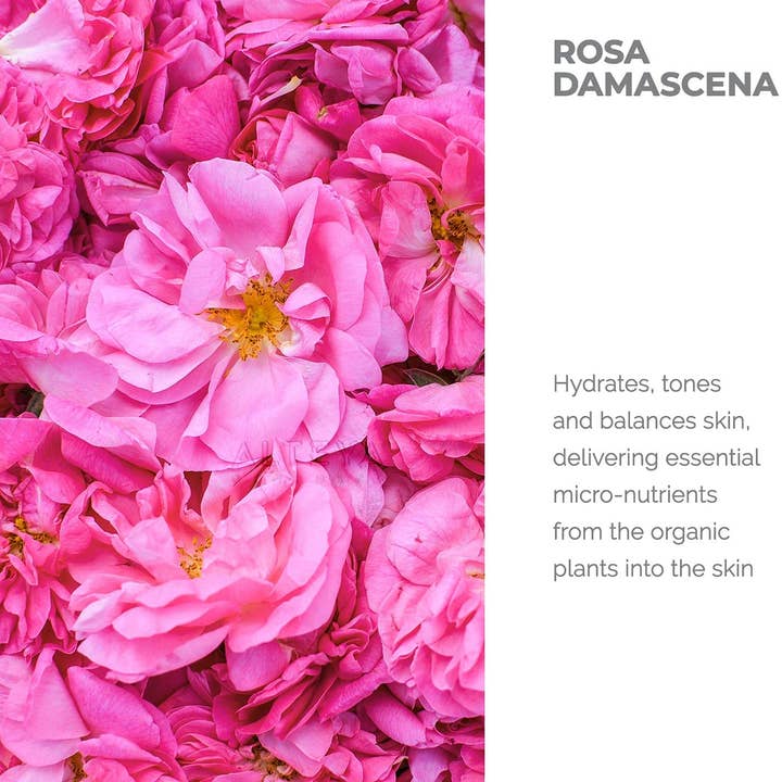 Alteya Organics – Engroshandel Ansigts- og kropsspray – Økologisk bulgarske Rose vand Spray 100ml/3,4 fl oz5