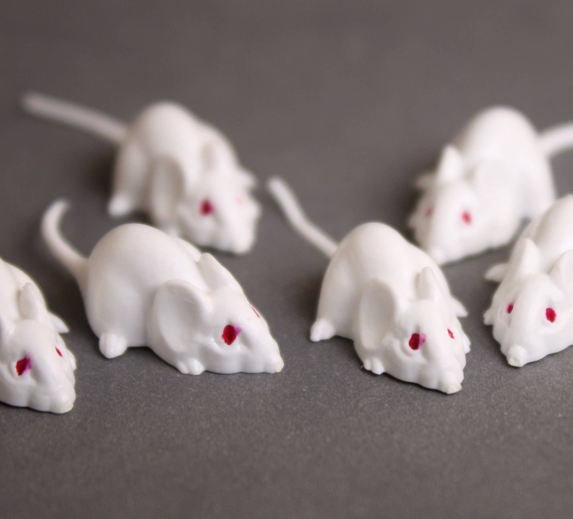 Mice - White Mouse Set - Red Eyes - 1" - 6 Pieces for wholesale on Faire5