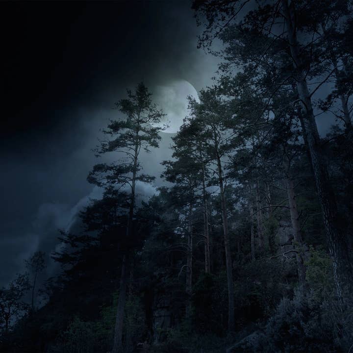 Autumn Moonlight Incense Cones for wholesale by Beaches of Tunisia, LLC