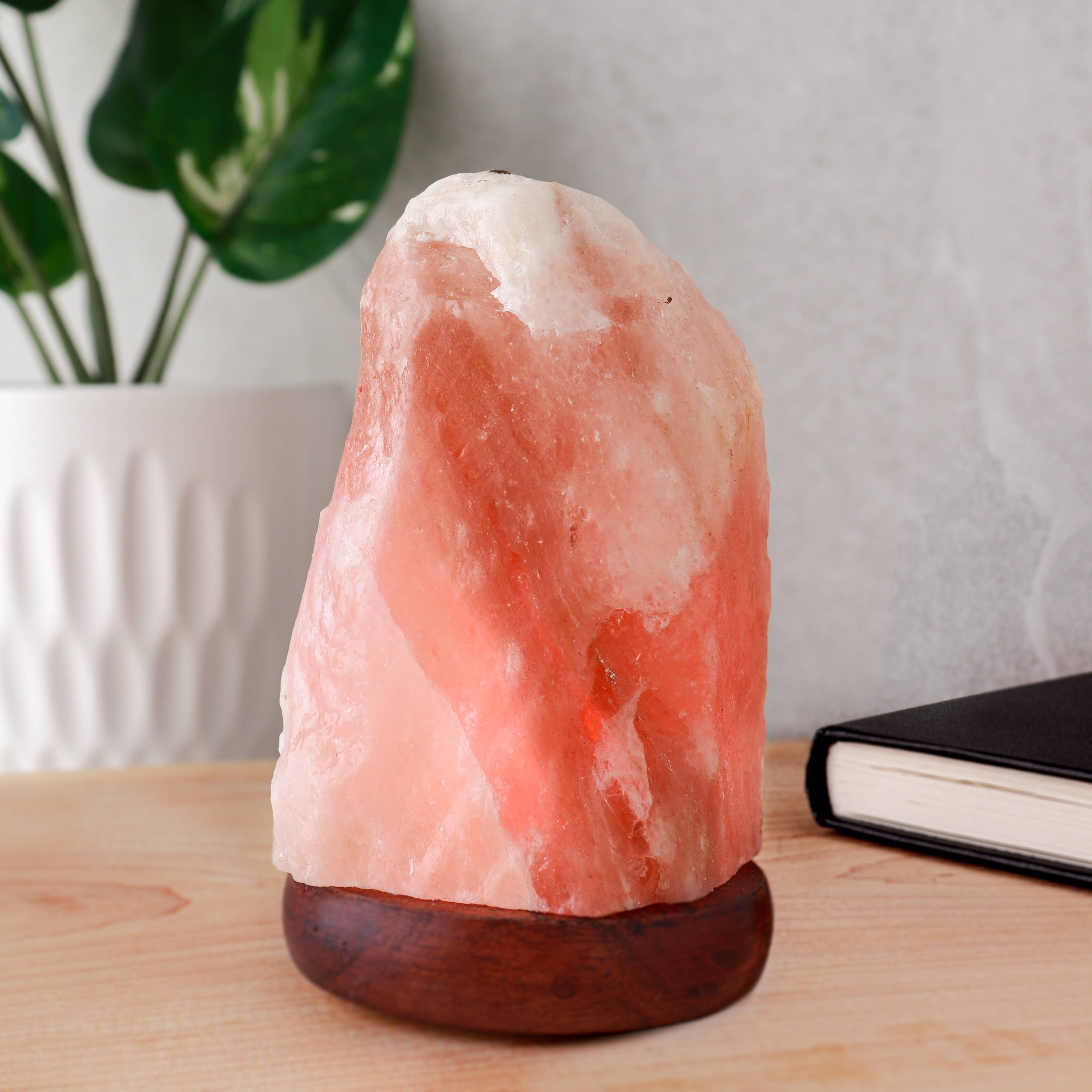 Natures Artifacts Inc - Venta al por mayor Lámparas decorativas/de escritorio - Lámpara de cristal de sal del Himalaya natural con USB1