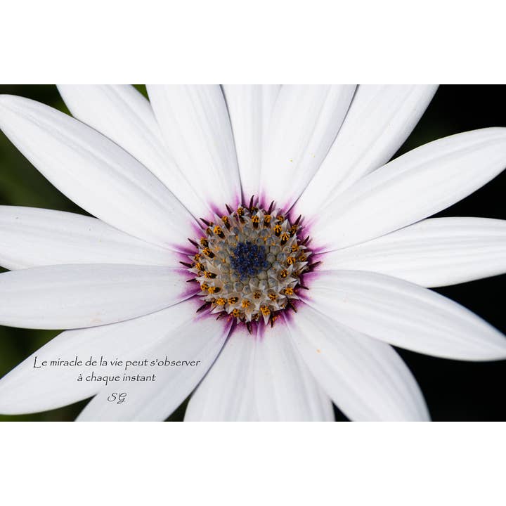 Respiration pour la vente par L'Ecriture D'Un Regard