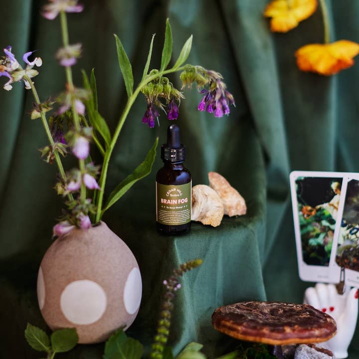 Cedar Hill Homestead - Wholesale Tincture - Brain Fog Tincture5