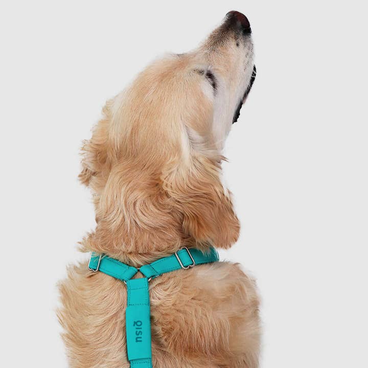 Qisu – Großhandel Haustiergeschirr – Hund – Hundegeschirr | Air Collection9