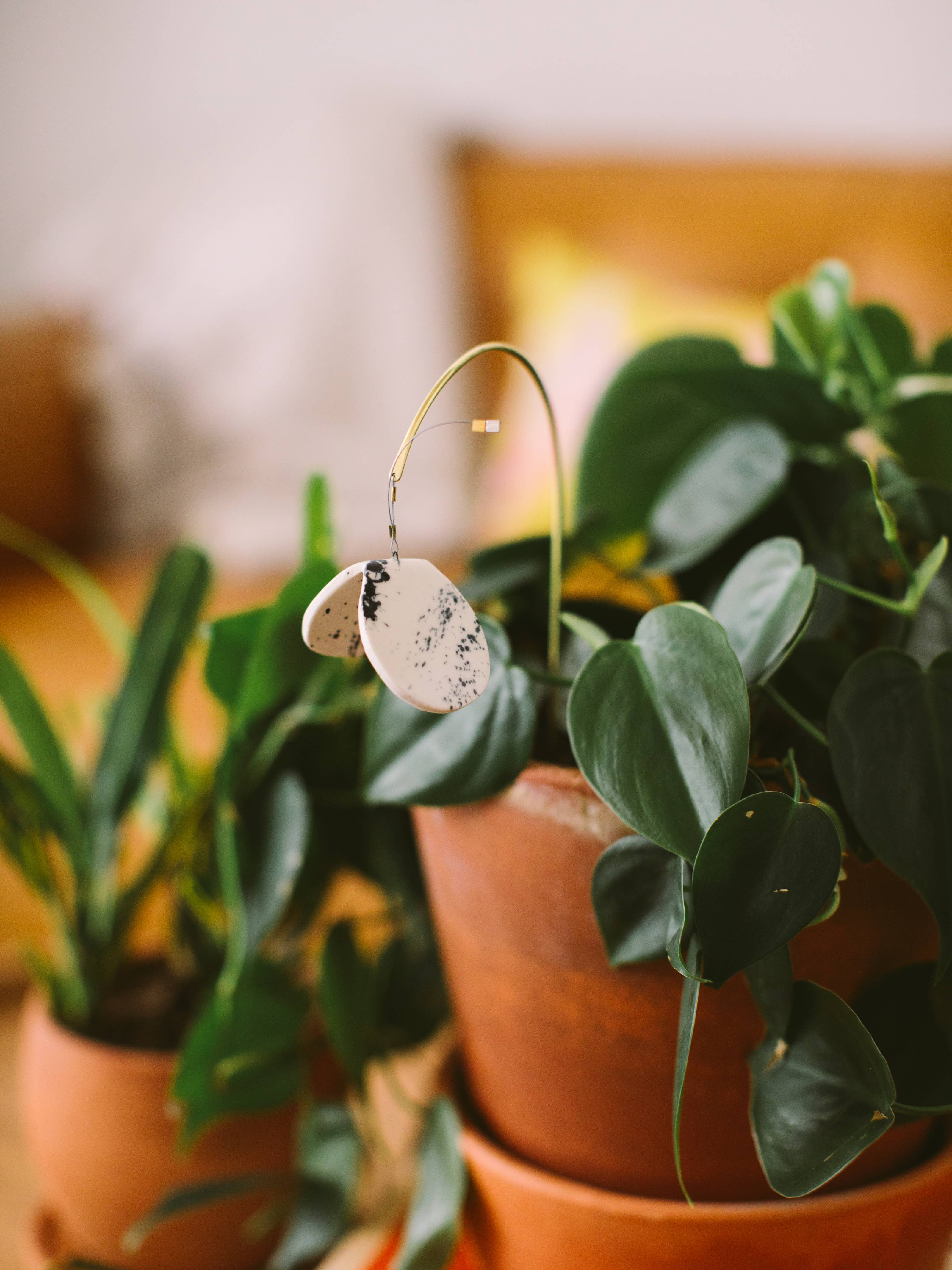 Twenty Two West - Wholesale Decorative Figurine - Plant Butterfly FW25 4