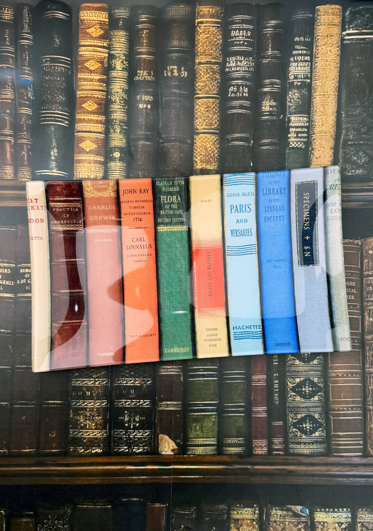 Ben's Garden - Wholesale Decorative Tray - New York Public Library Reserve Decoupage Glass Tray1