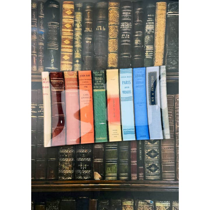 Ben's Garden - Wholesale Decorative Tray - New York Public Library Reserve Decoupage Glass Tray1