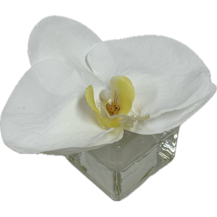 Votivo de Orquídea Phalaenopsis-Blanco para venta al por mayor de Moman Sales, Inc.