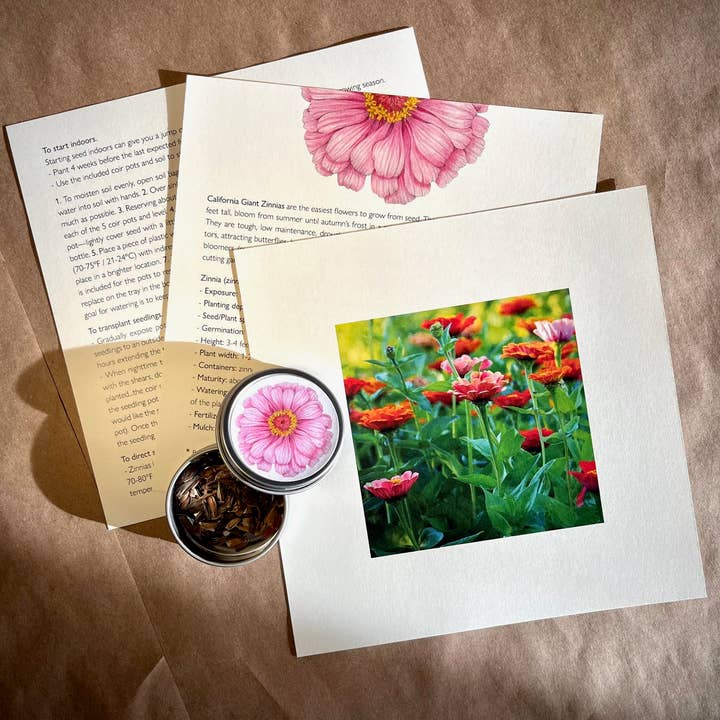 Potting Shed Creations, Ltd. - Wholesale Plant Seeds - NEW Flower Cutting Garden Box | Mixed Zinnia 4