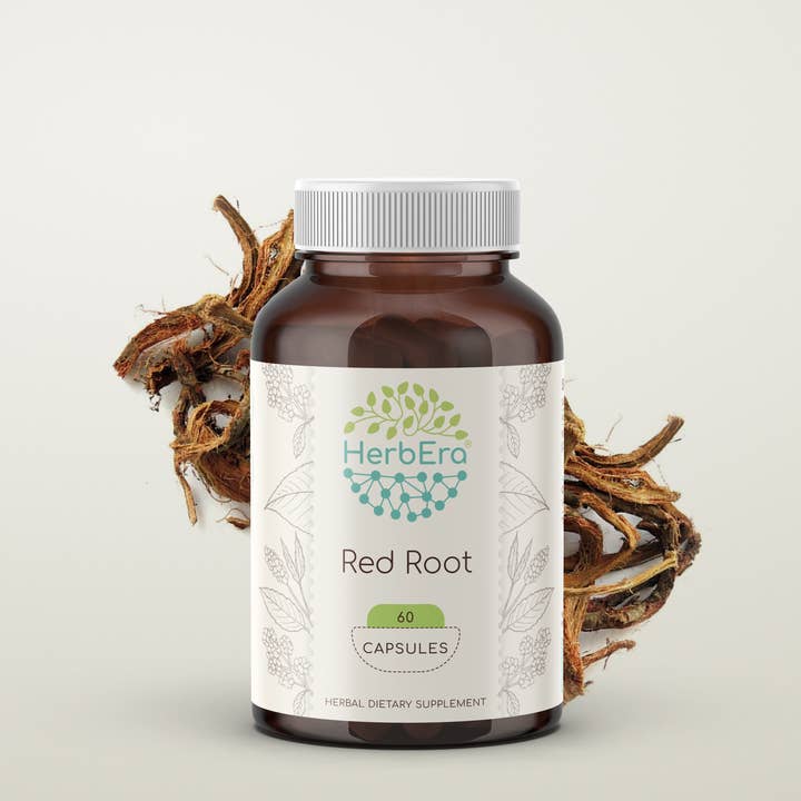 HerbEra - Wholesale Oral Supplement/Vitamin - Red Root Capsules