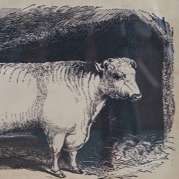 CTW Home Collection - Wholesale Art Print - Homestead Framed Canvas - Bull3