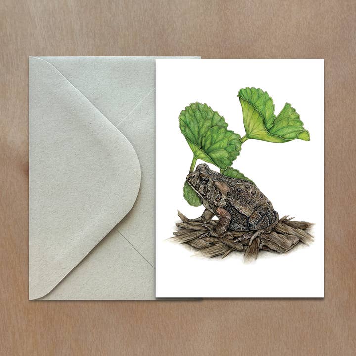 American Toad Greeting Card for wholesale by Rachael Bee Artwork
