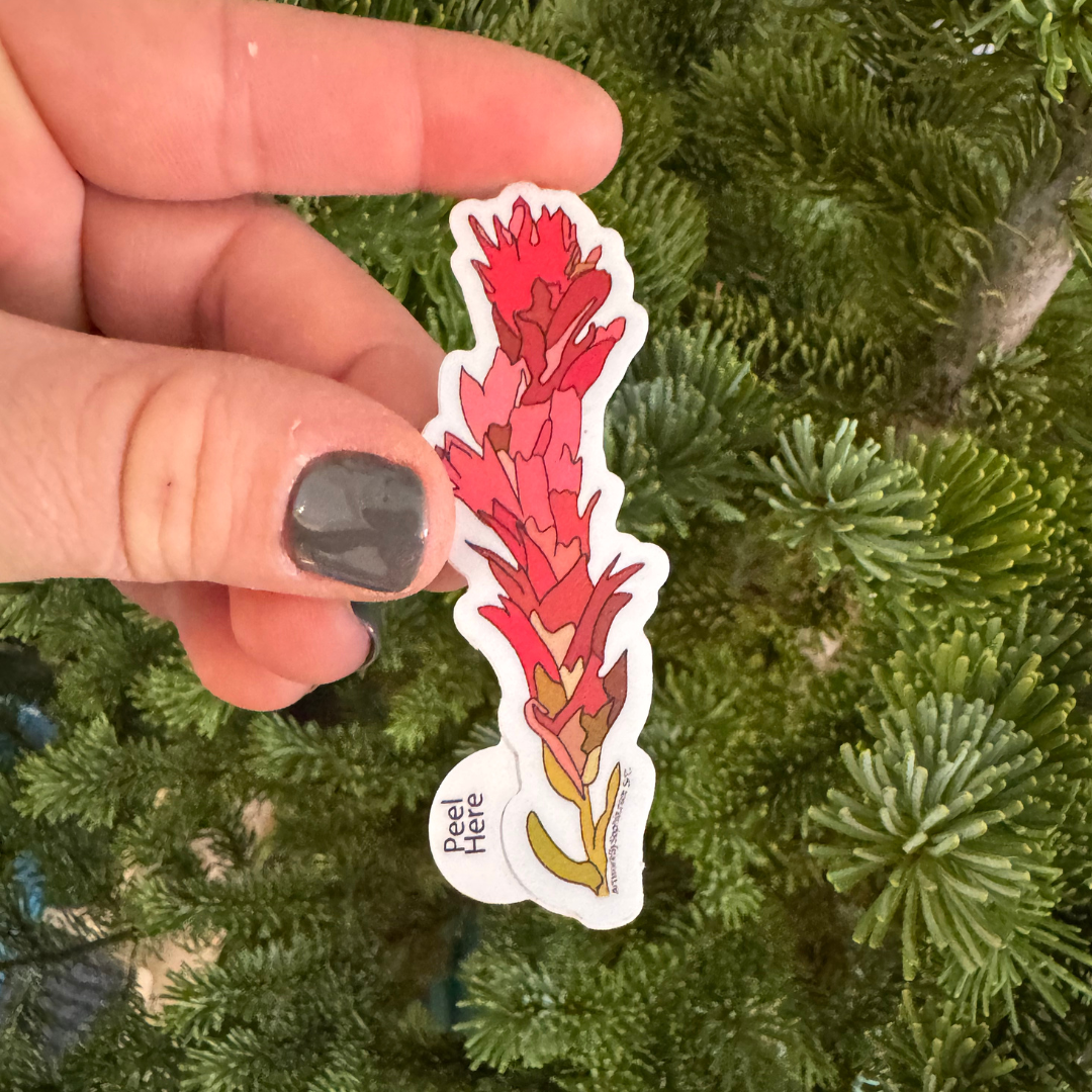 Artwork by Sophia - Wholesale Sticker - Indian Paintbrush |  Vinyl Sticker | Colored Drawing | 3in1