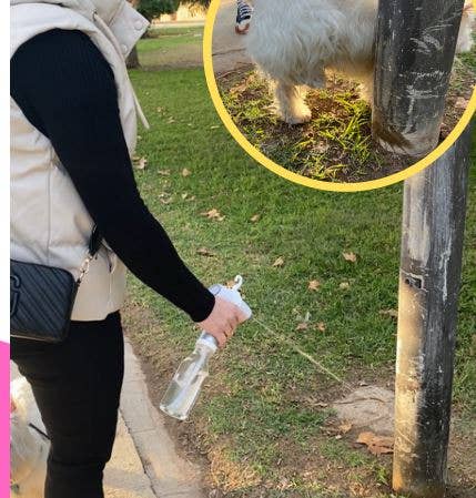 Pa´mi mascota - Wholesale Pet Grooming Aid - Dog - Pipi Wash1