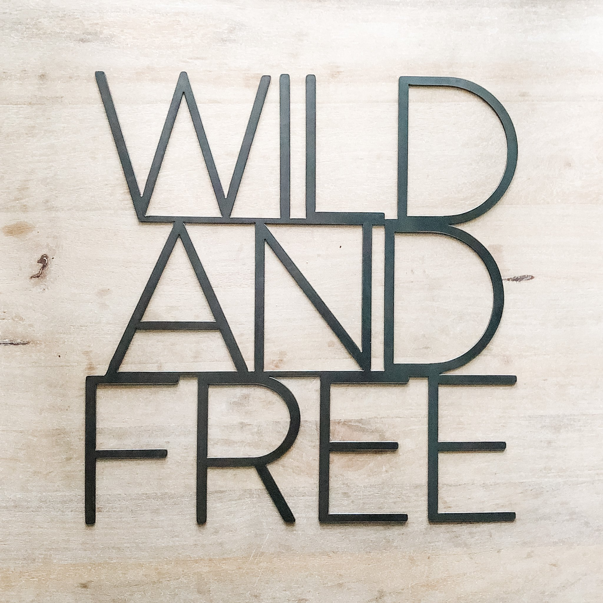 Keystone Steel Co. - Wholesale Sign - Wild and Free Wall Sign3