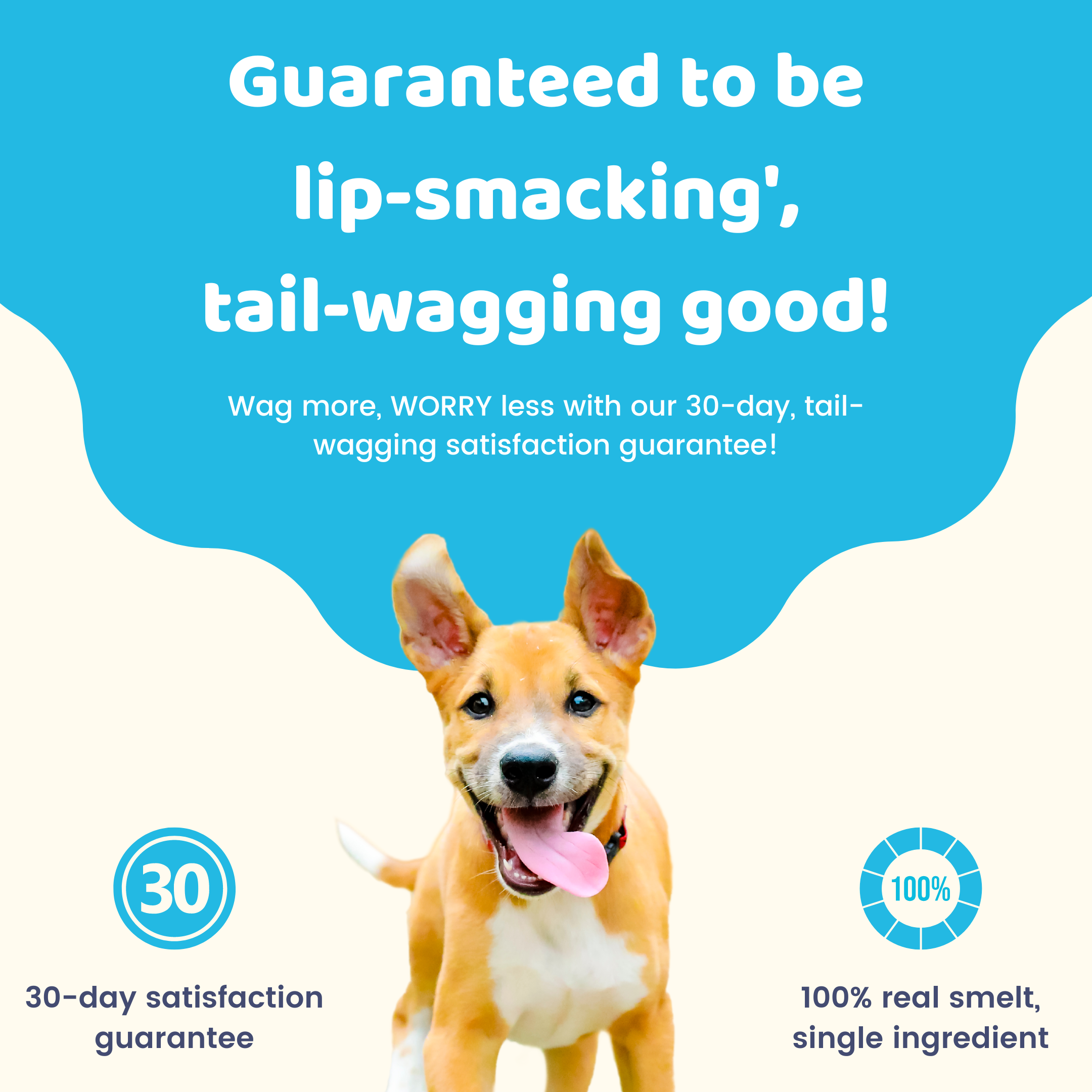 Charmy Pet - Wholesale Pet Treats - Dog - LAKE SMELT2