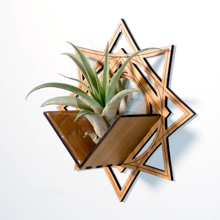 Luftväxthållare/vägghängande planteringsmaskin 7 - monterad hängare för wholesale av LIGHT RAZOR DESIGN STUDIO