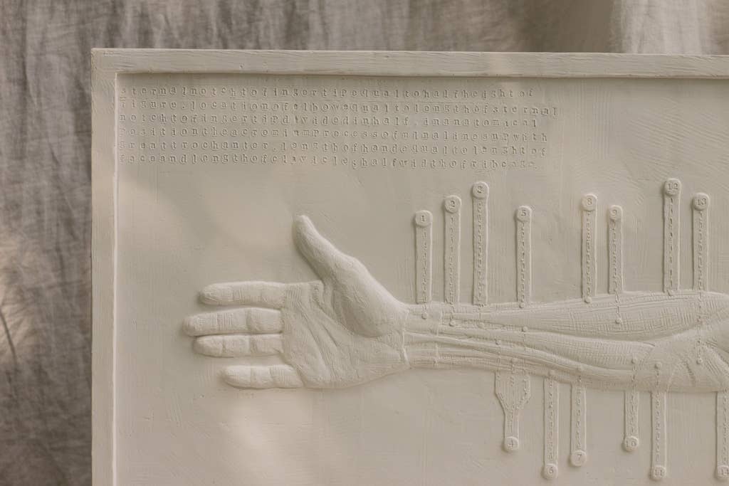 dellsculpture - Wholesale Sculpture - ANATOMICAL ARM3