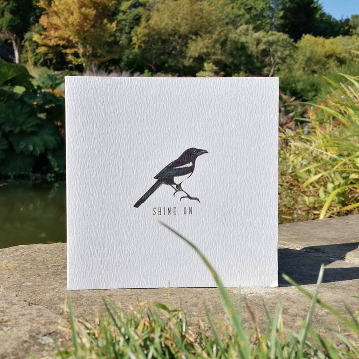 Glans På Skata Blank Hälsningskort för wholesale av Little Plover