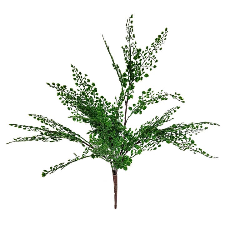 19" Maiden Hair Fern Plant - Dark Green for wholesale by David Christopher's Collection