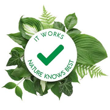 Plants Aid - Vente Crème pour les pieds - Gel végétal pour le soin des pieds 250 ml
100 % naturel* végétalien *Sans substances nocives3