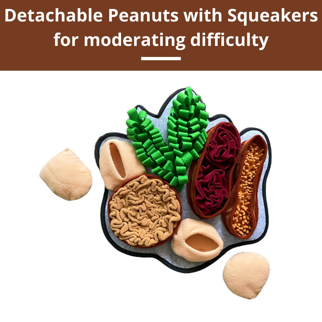 PawzNDogz – wholesale Pet mat – Dog – Chonky Peanuts™ Snuffle Mat | Challenge Level 26