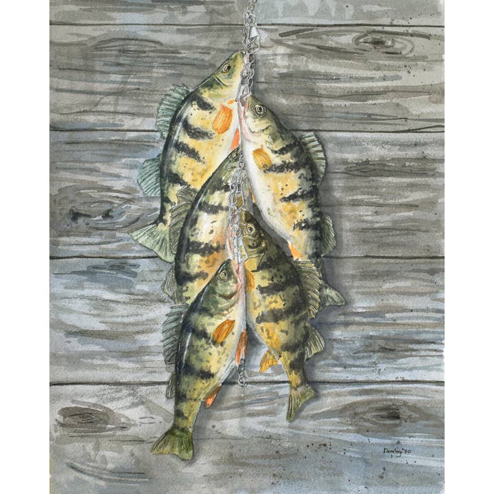 Perch Stringer for wholesale by Drew Deming Watercolors