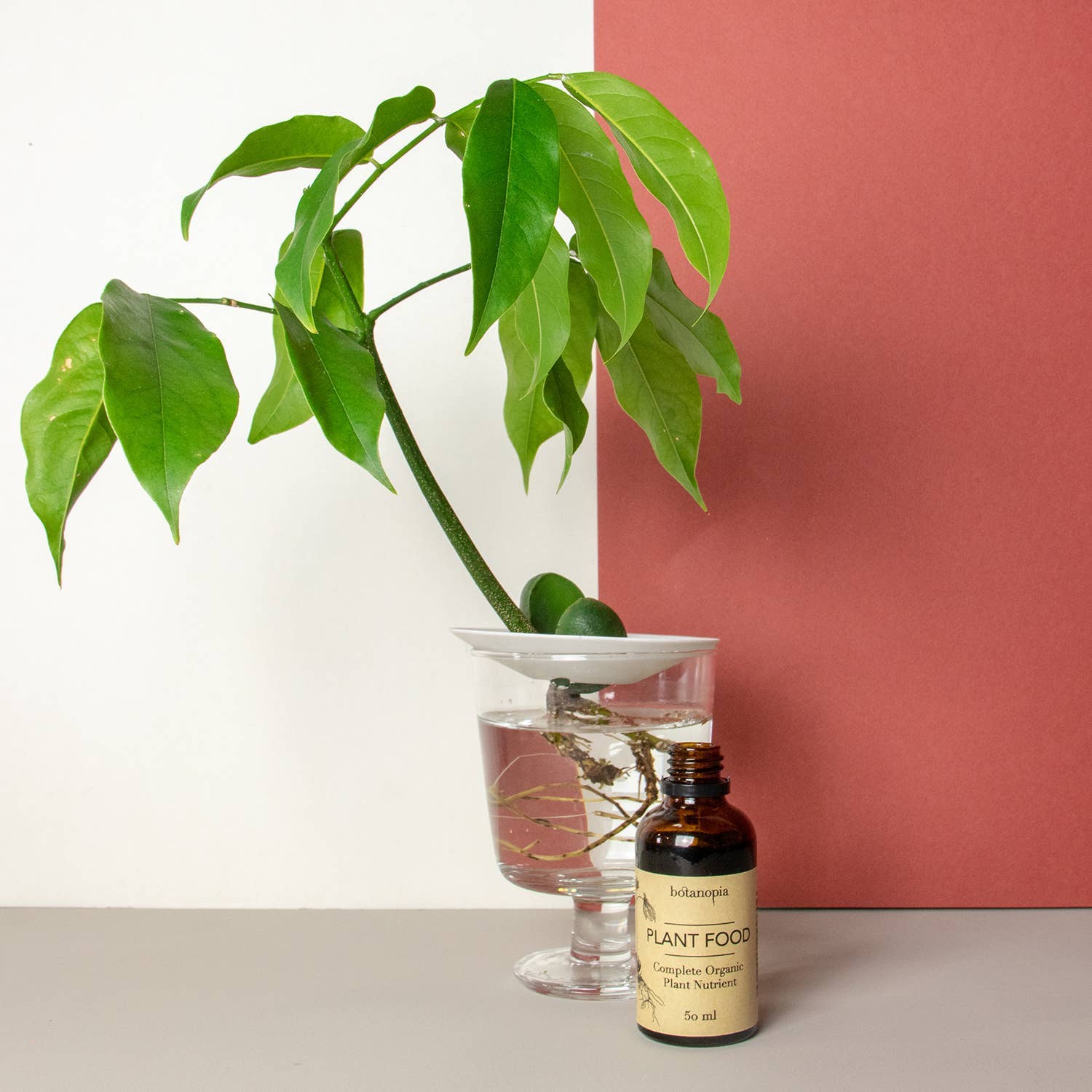 Botanopia USA - gifts , decor and cards for plant lovers - Wholesale Fertilizer - Complete Organic Plant Food -1.7 fl oz (50ml)5