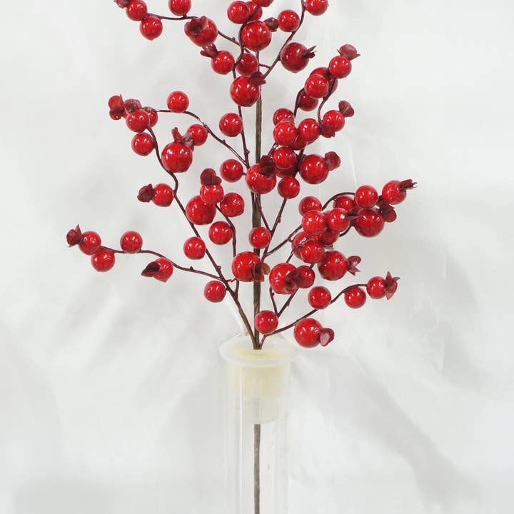 Spray pour églantier et baies BE10252, 26 po-12/96 P pour la vente par Green Import Limited