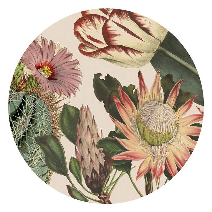 NIN-NIT Wall-Art | Pictea Cactus for wholesale by NIN-NIT