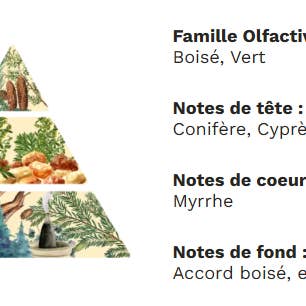 Arhomie - Wholesale Jar/Filled Candle - Walk in the forest3