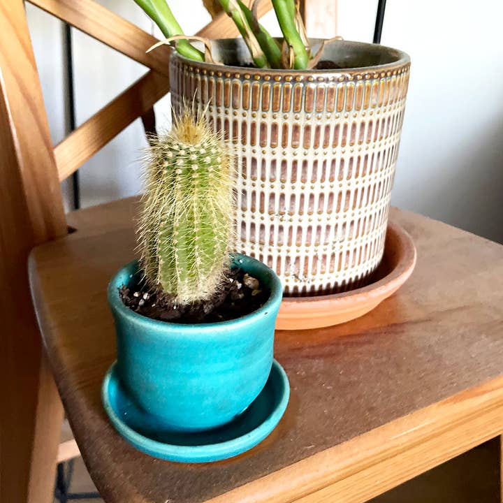 Tasses à thé, pots de 2 1/2 pouces avec égouttoir, tasse à plantes en céramique pour la vente par Cedarleaf Ceramics