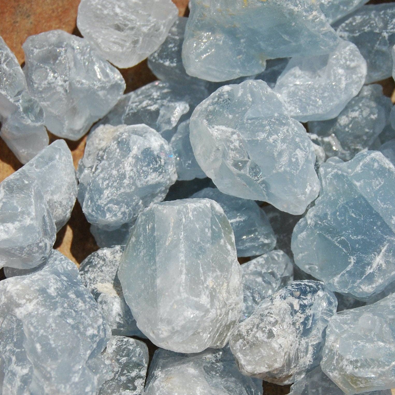 Caspar Curiosities - Wholesale Spiritual Stone/Crystal - 6pcs Raw Celestite Crystal Pieces, Rough Celestite Crystals4