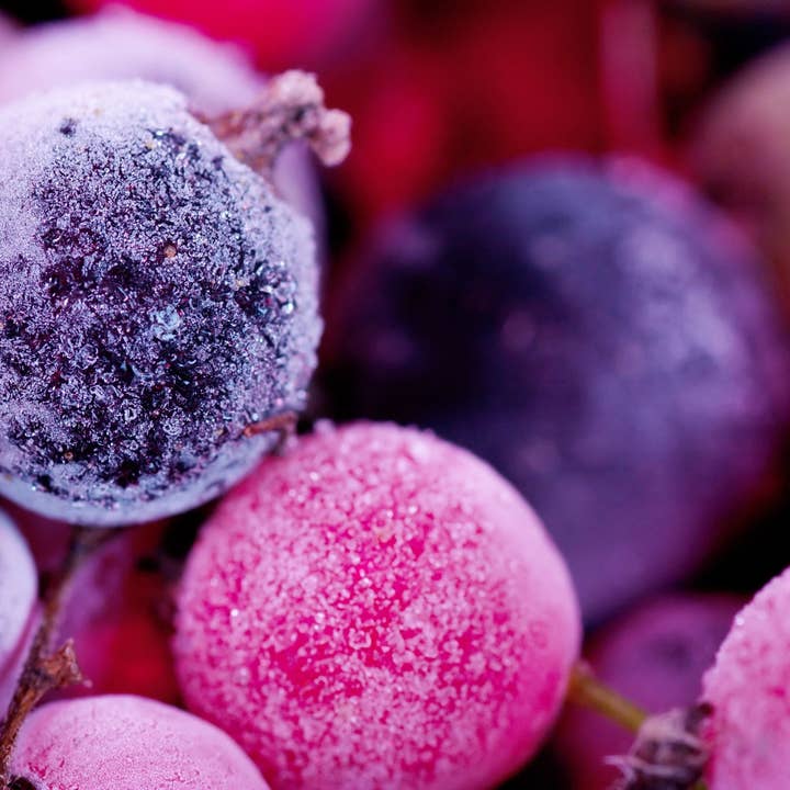 Icy Blueberry Incense Sticks for wholesale by Beaches of Tunisia, LLC