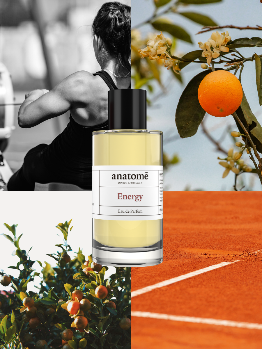 Anatome – wholesale Perfume/eau de toilette – Energy Eau de Parfum Travel 10ml1