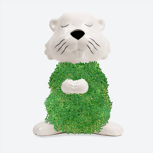 Gift Republic – wholesale Gag gift/novelty gift – Hairy Beaver Chia Pet1