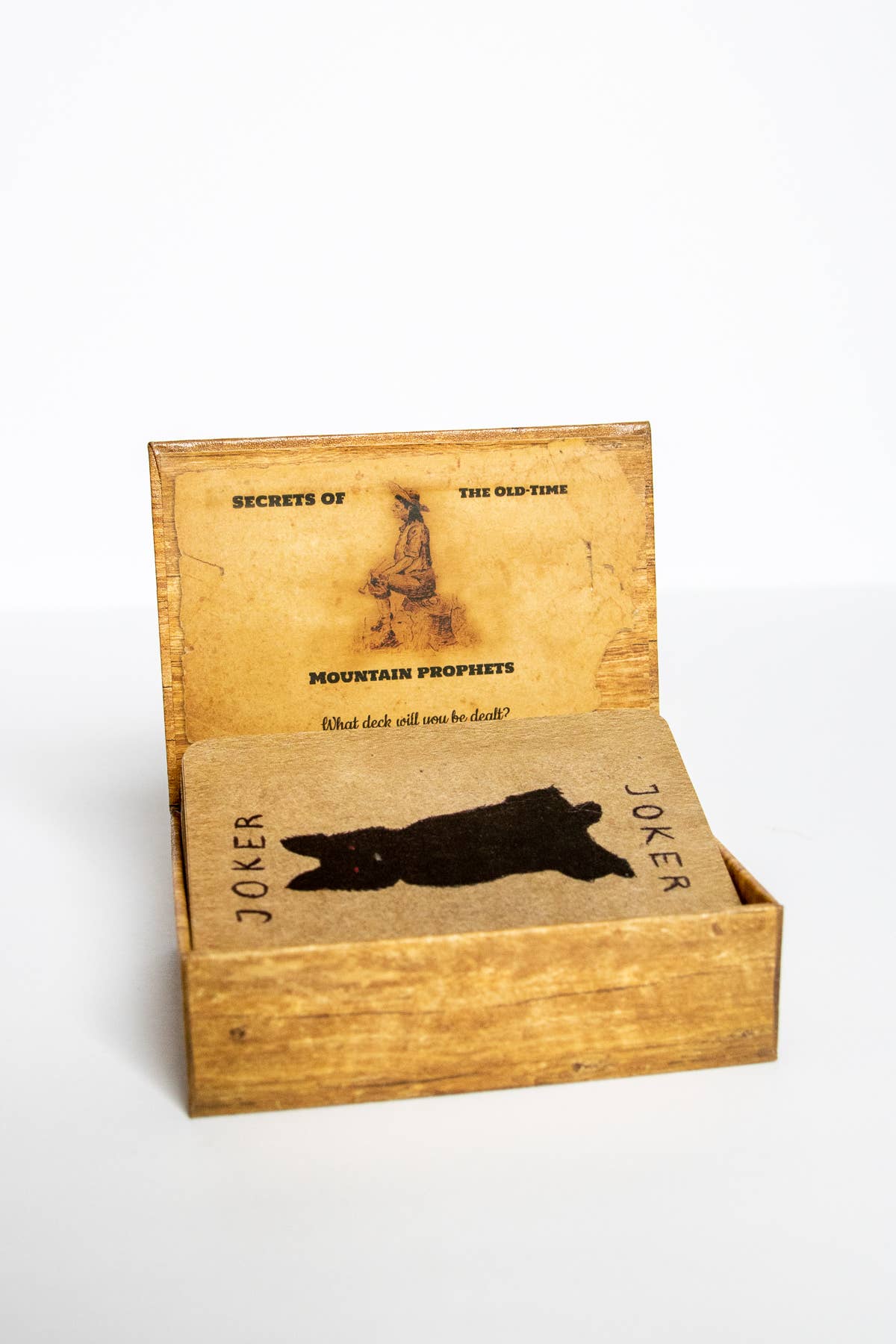 Red Wheel/Weiser LLC - Wholesale Tarot Cards - Conjure Cards: Fortune-Telling Card Deck and Guidebook7