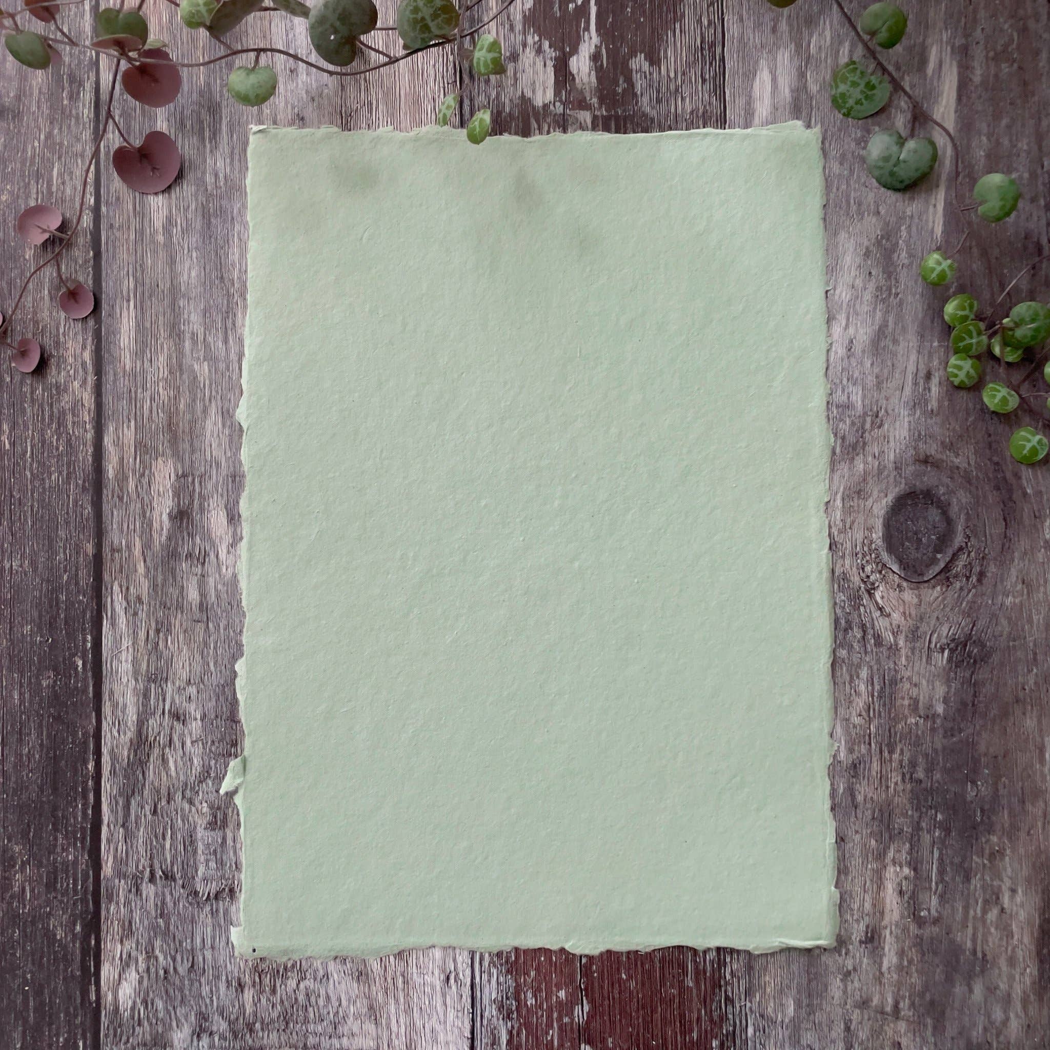 The Natural Paper Company - Wholesale Painting Paper - Dusky Green Handmade Paper | Pack of 5 | Recycled Cotton Rag4