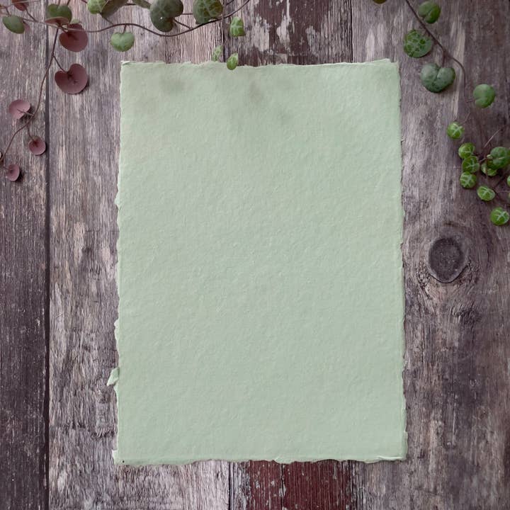 The Natural Paper Company - Vendita all'ingrosso Carta per dipingere - Carta Artigianale Verde Scuro | Confezione da 5 | Stracci di Cotone Riciclato4
